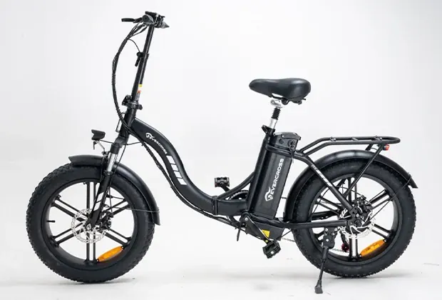Dual Disc Brake System